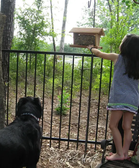 Curb Alert!:  kids diy bird feeders