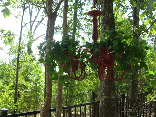 Curb Alert!:  garden chandelier