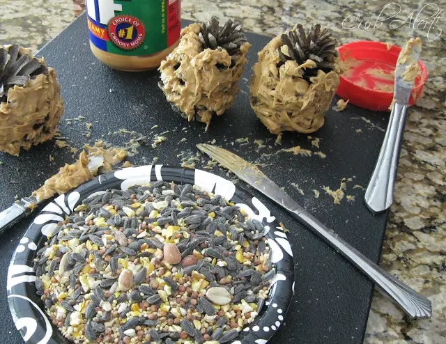 Curb Alert!:  kids diy bird feeders