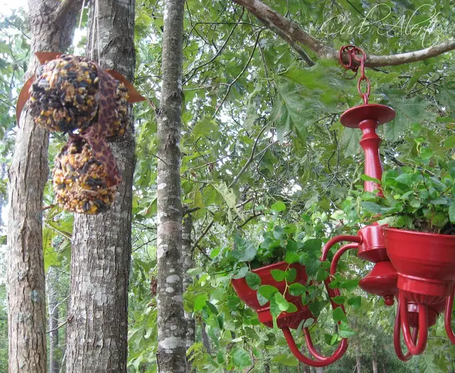 Curb Alert!:  kids diy bird feeders