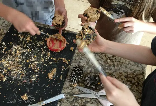 Curb Alert!:  kids diy bird feeders