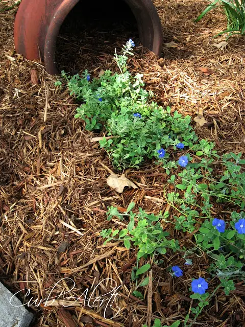 Curb Alert! Home Address Flower Pots via http://tamicurbalert.blogspot.com