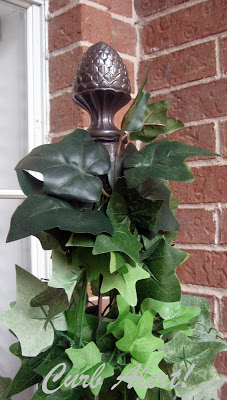 DIY Tomato Cage Topiaries (tutorial) via Curb Alert! blog http://tamicurbalert.blogspot.com DIY Tomato Cage Topiaries (tutorial) via Curb Alert! blog http://tamicurbalert.blogspot.com